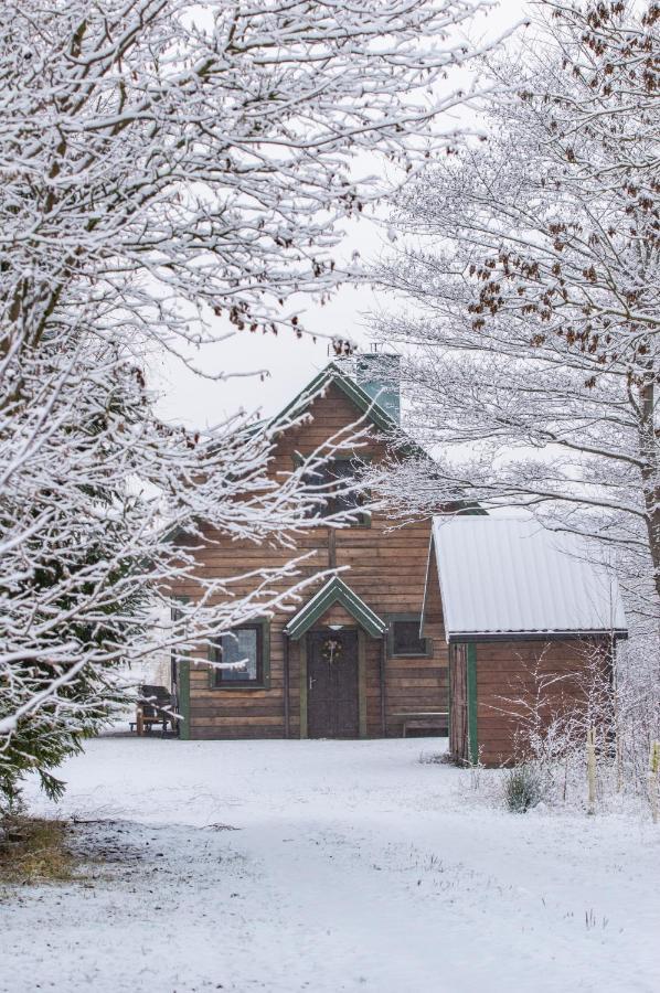 Domek W Biebrzanskim Eldorado Villa Stare Dolistowo Esterno foto